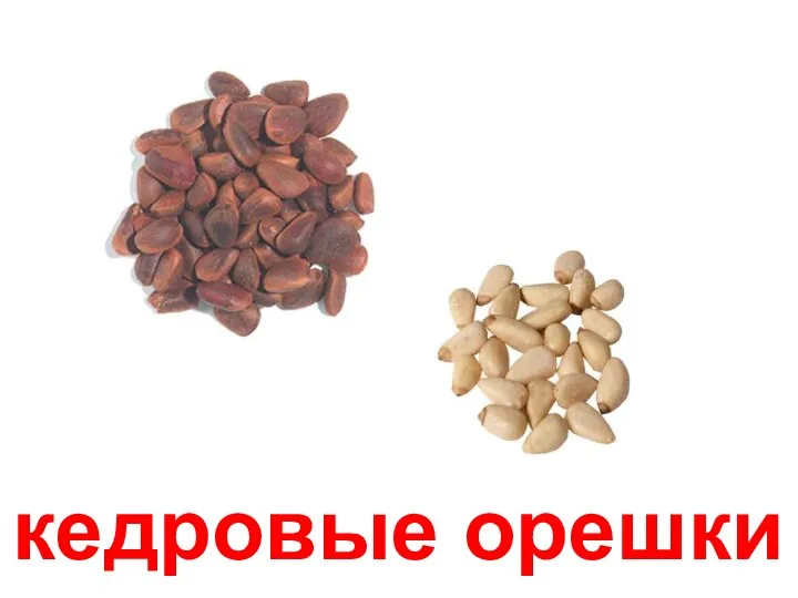 кедровые орешки