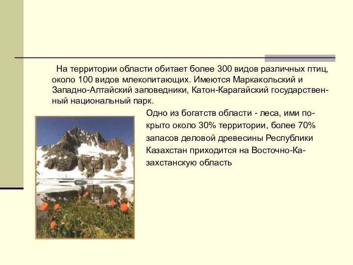 На территории области обитает более 300 видов различных птиц, около 100