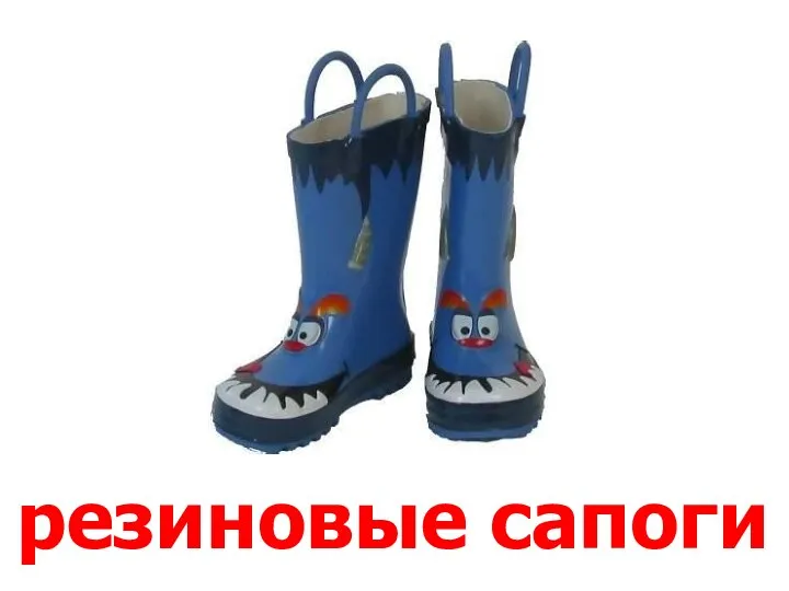 резиновые сапоги