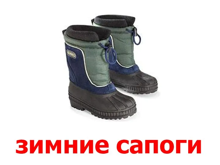 зимние сапоги