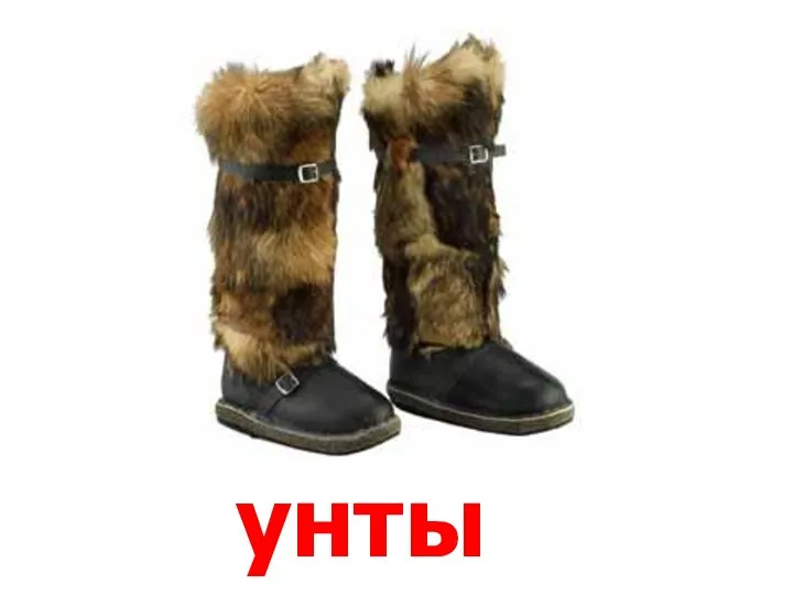 унты