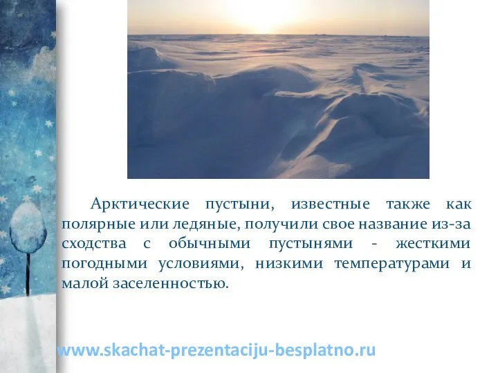 Арктические пустыни, известные также как полярные или ледяные, получили свое название