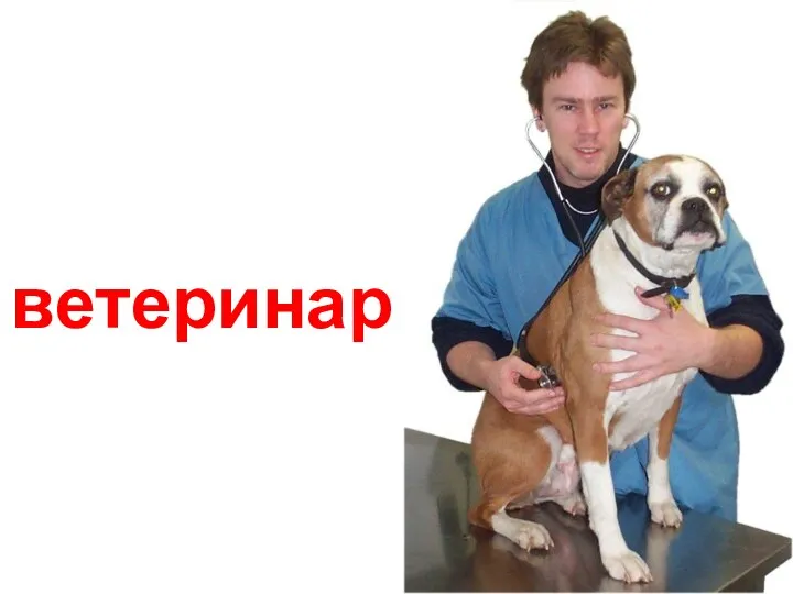 ветеринар