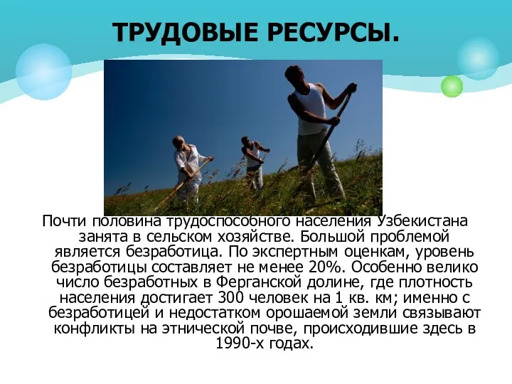 Почти половина трудоспособного населения Узбекистана занята в сельском хозяйстве. Большой проблемой