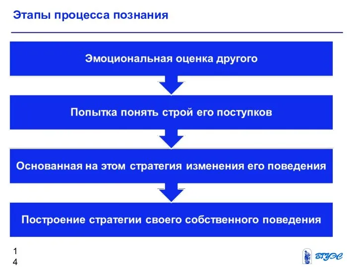 Этапы процесса познания