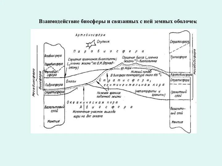 Взаимодействие биосферы и связанных с ней земных оболочек