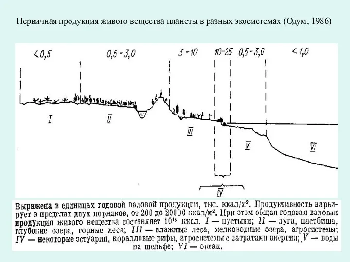 Первичная продукция живого вещества планеты в разных экосистемах (Одум, 1986)