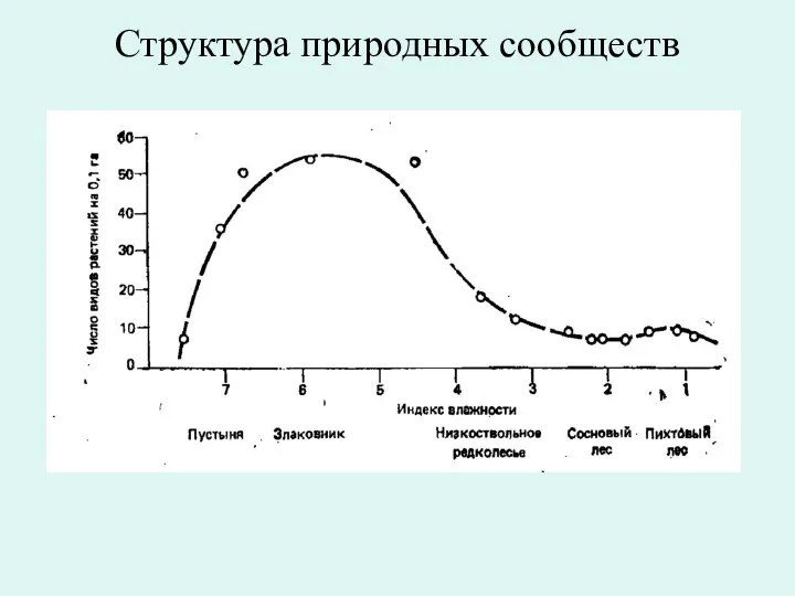 Структура природных сообществ