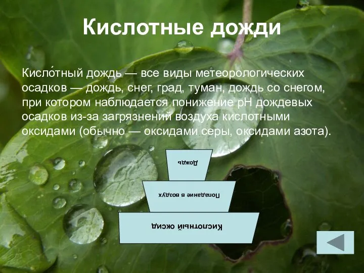 Кислотные дожди Кисло́тный дождь — все виды метеорологических осадков — дождь,