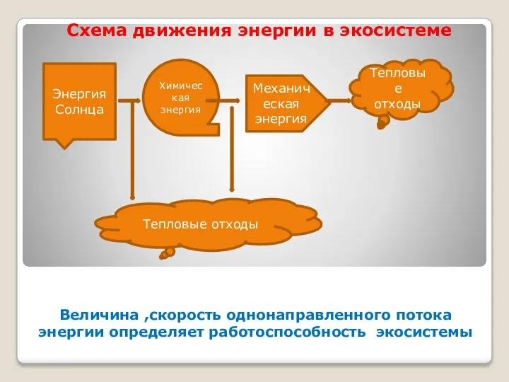 Величина ,скорость однонаправленного потока энергии определяет работоспособность экосистемы Схема движения энергии