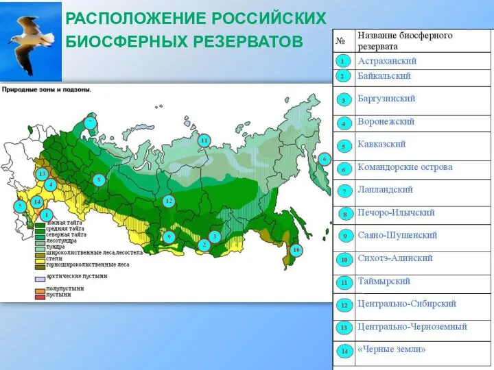 Расположение российских биосферных резерватов