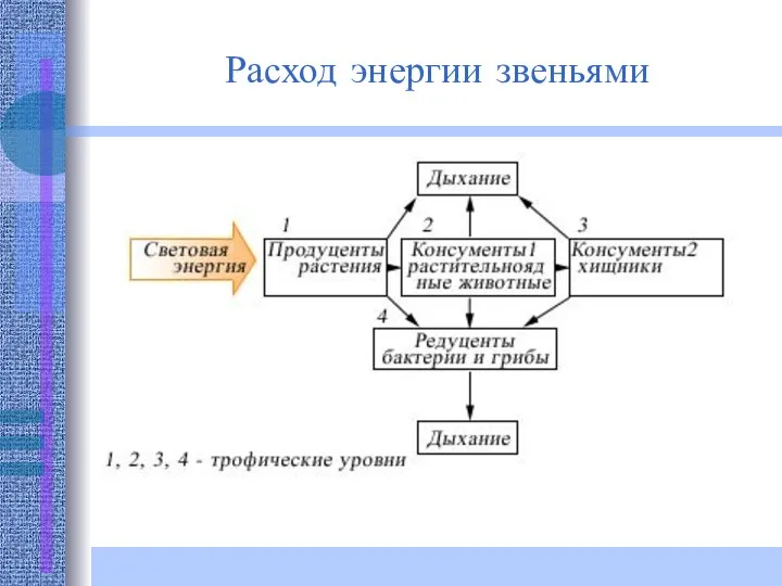 Расход энергии звеньями