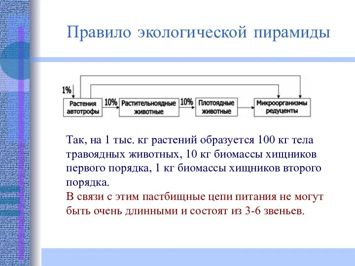 Так, на 1 тыс. кг растений образуется 100 кг тела травоядных