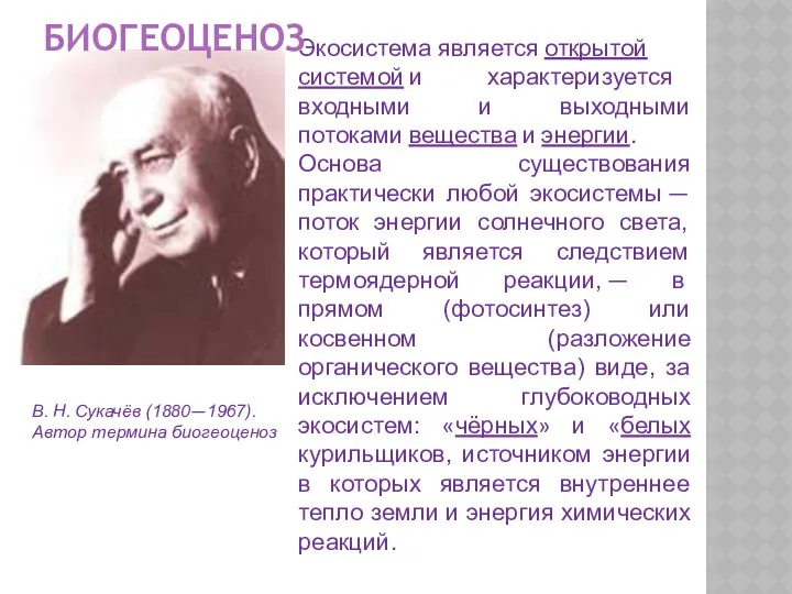 В. Н. Сукачёв (1880—1967). Автор термина биогеоценоз Экосистема является открытой системой