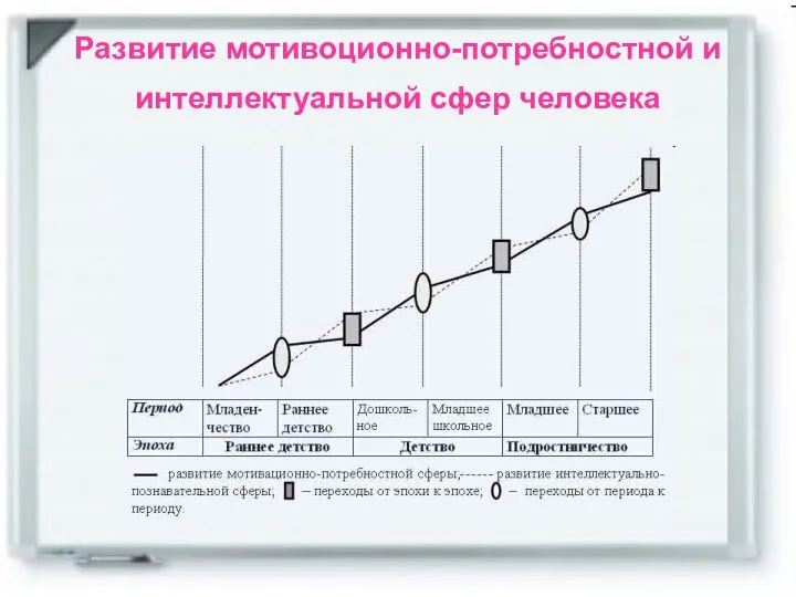 Развитие мотивоционно-потребностной и интеллектуальной сфер человека