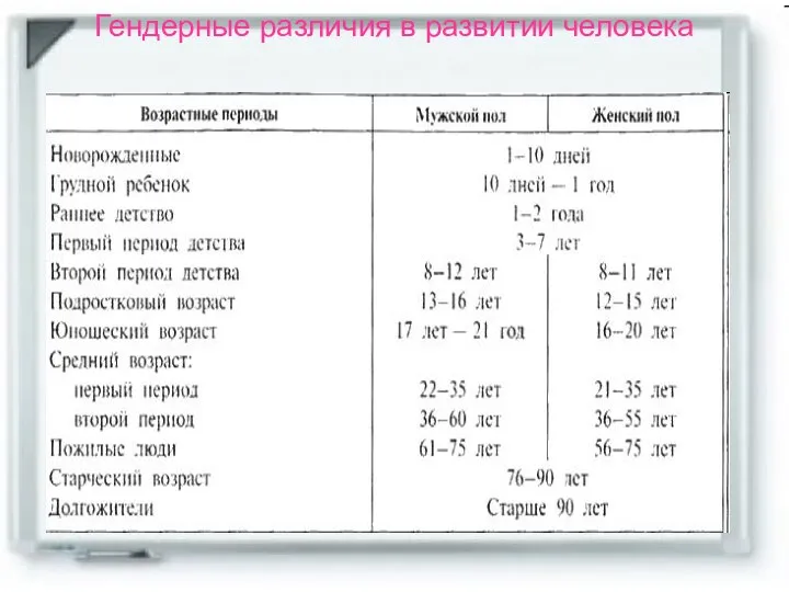 Гендерные различия в развитии человека