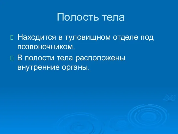 Полость тела Находится в туловищном отделе под позвоночником. В полости тела расположены внутренние органы.