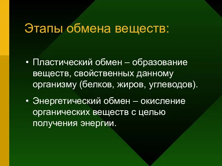 Этапы обмена веществ: Пластический обмен – образование веществ, свойственных данному организму