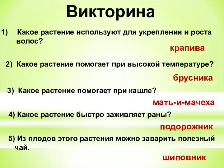 Викторина Какое растение используют для укрепления и роста волос? крапива 2)