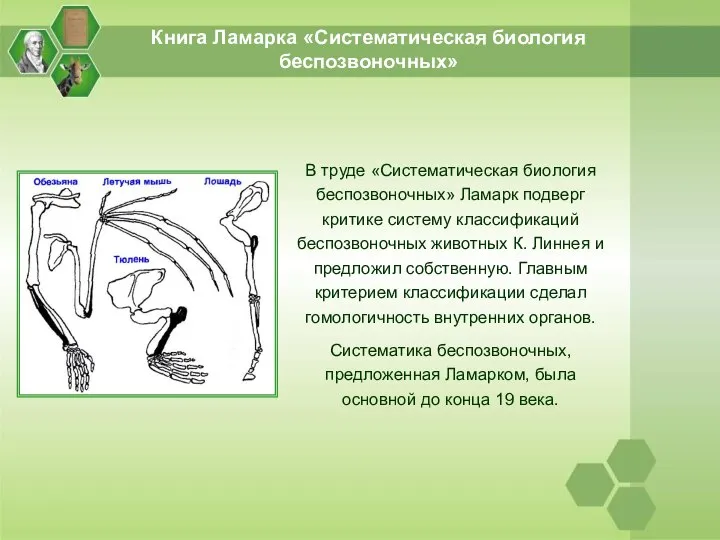 Книга Ламарка «Систематическая биология беспозвоночных» В труде «Систематическая биология беспозвоночных» Ламарк