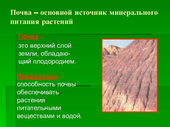 Плодородие – способность почвы обеспечивать растения питательными веществами и водой. Почва