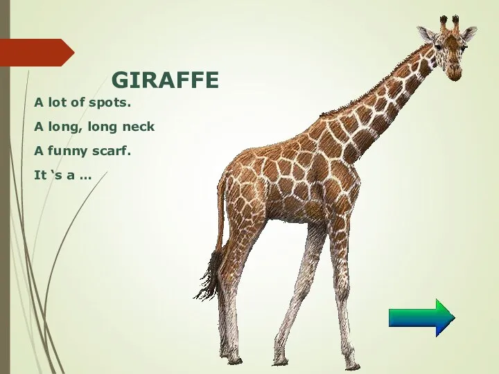 GIRAFFE A lot of spots. A long, long neck A funny scarf. It ‘s a …