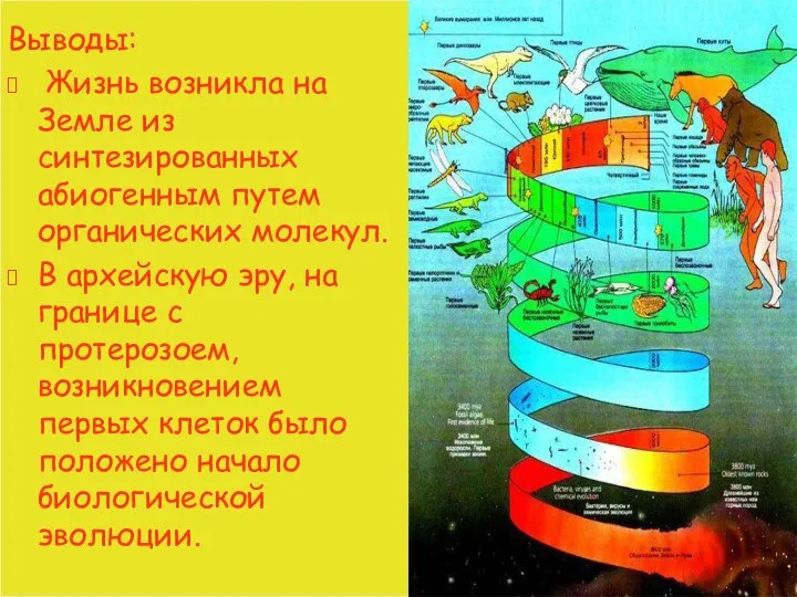 Выводы: Жизнь возникла на Земле из синтезированных абиогенным путем органических молекул.