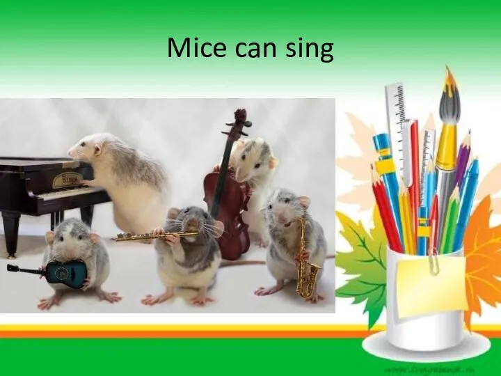 Mice can sing