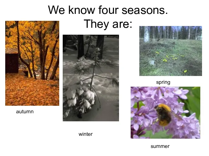 We know four seasons. They are: autumn spring summer winter