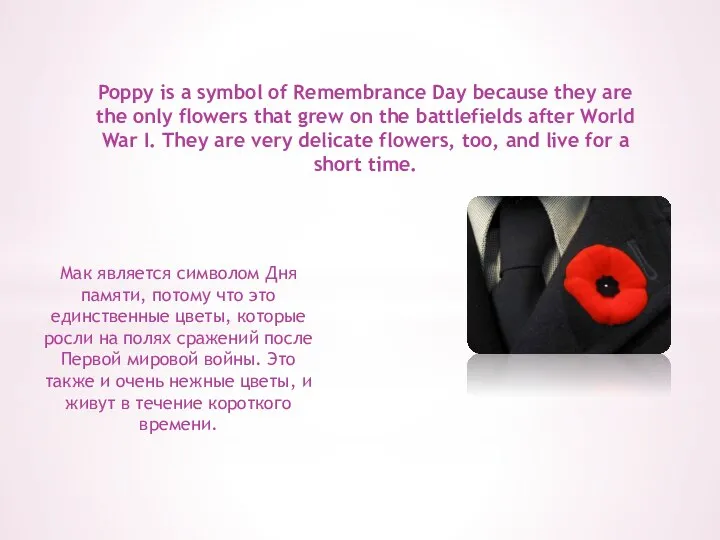 Poppy is a symbol of Remembrance Day because they are the