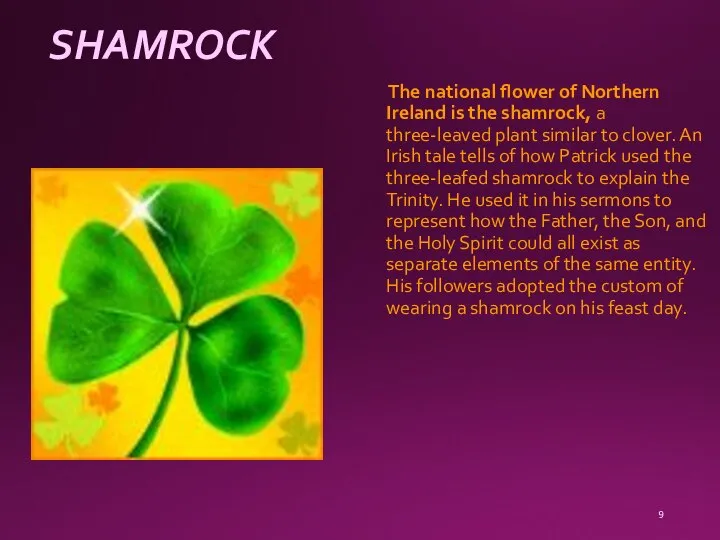 SHAMROCK The national flower of Northern Ireland is the shamrock, a
