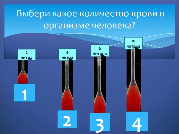 Выбери какое количество крови в организме человека? 2 литра 4 литра