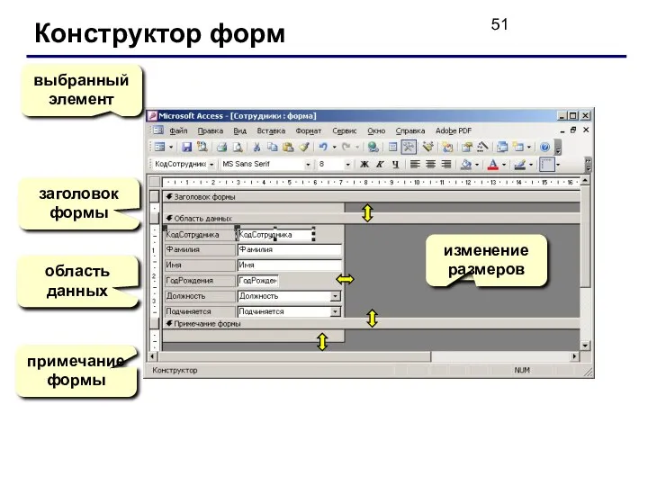 Конструктор форм выбранный элемент заголовок формы область данных примечание формы