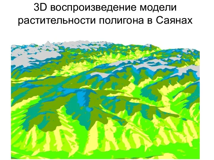 3D воспроизведение модели растительности полигона в Саянах