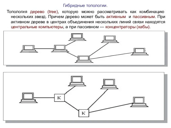 Гибридные топологии. Топология дерево (tree), которую можно рассматривать как комбинацию нескольких