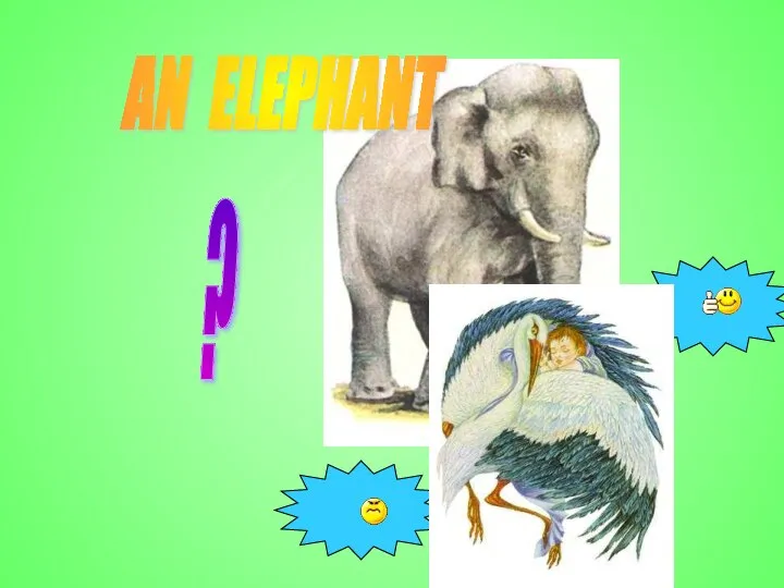 AN ELEPHANT ?