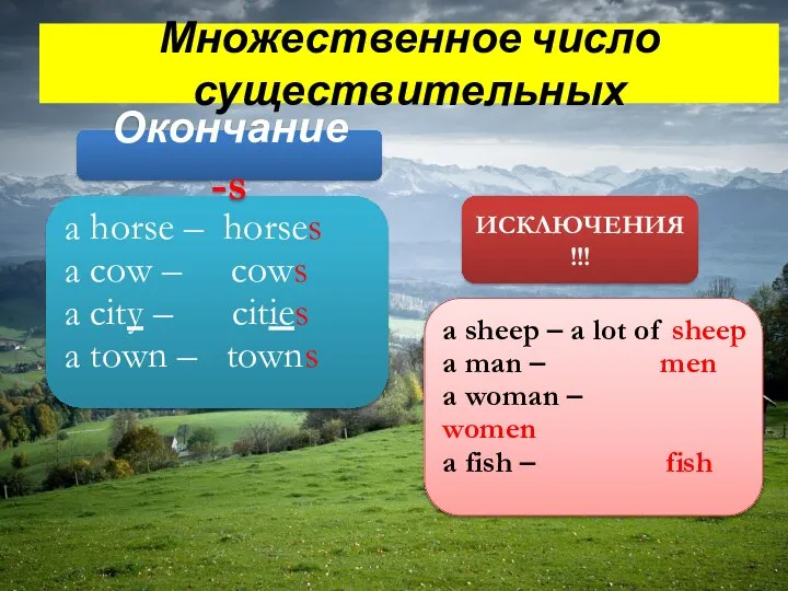 Множественное число существительных a horse – horses a cow – cows