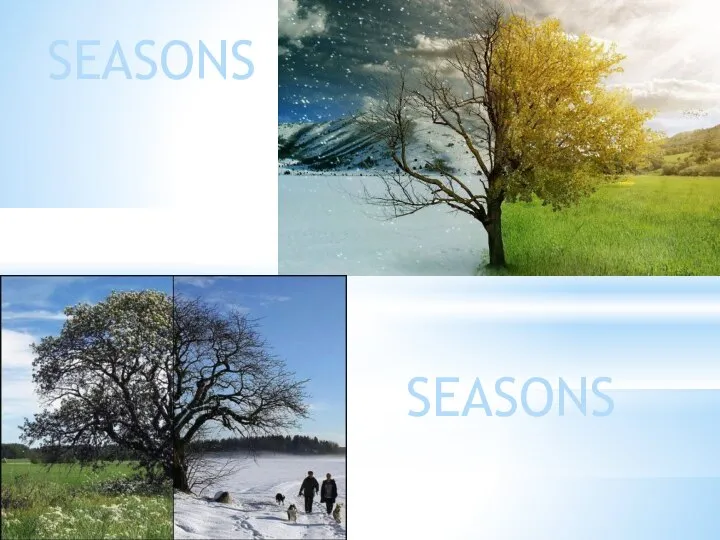 SEASONS SEASONS