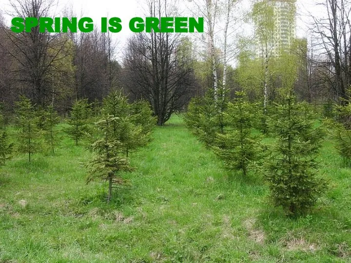 SPRING IS GREEN