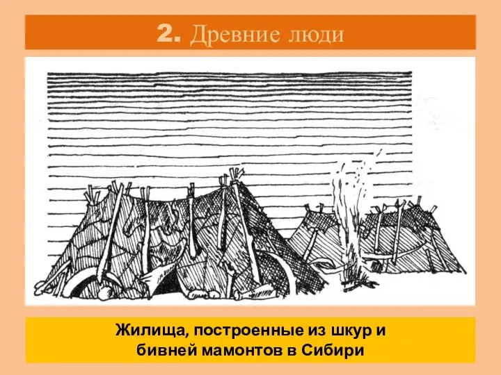 2. Древние люди «Мамонты на Русской равнине в Сибири» Стр. 11