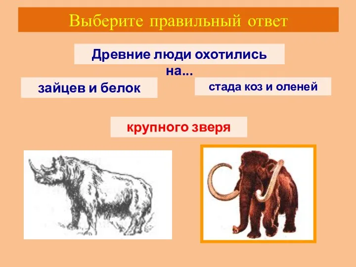 Выберите правильный ответ Древние люди охотились на... зайцев и белок стада