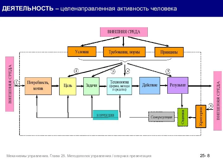 ДЕЯТЕЛЬНОСТЬ – целенаправленная активность человека 25- Механизмы управления. Глава 25. Методология управления / опорная презентация