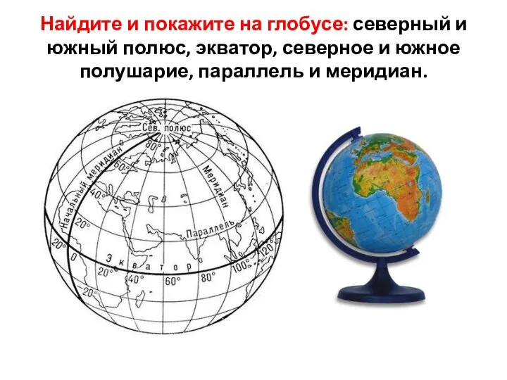 Найдите и покажите на глобусе: северный и южный полюс, экватор, северное