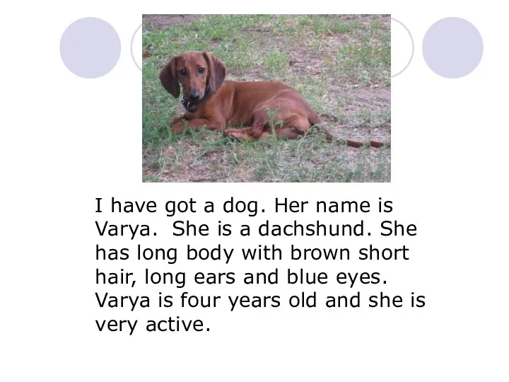 I have got a dog. Her name is Varya. She is