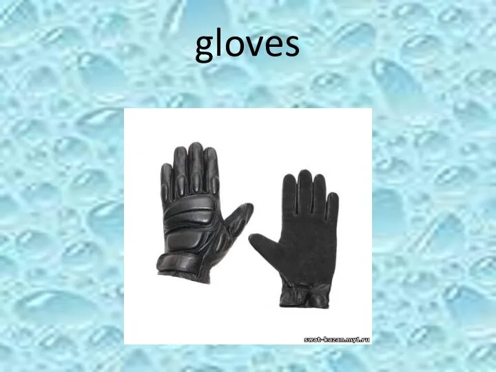 gloves