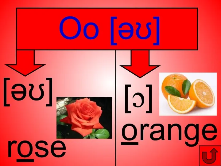 Oo [әʊ] orange [ɔ] [әʊ] rose