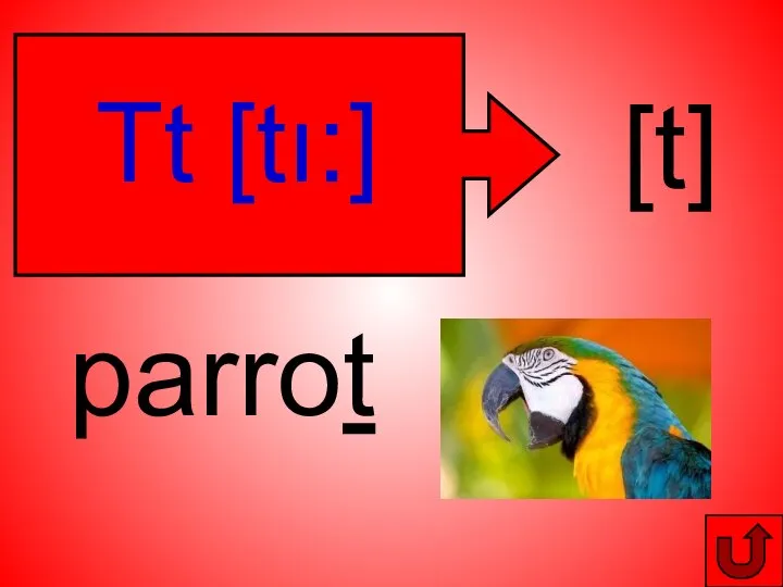 Tt [tı:] [t] parrot