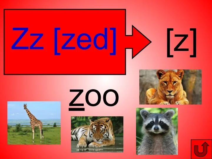Zz [zed] [z] zoo