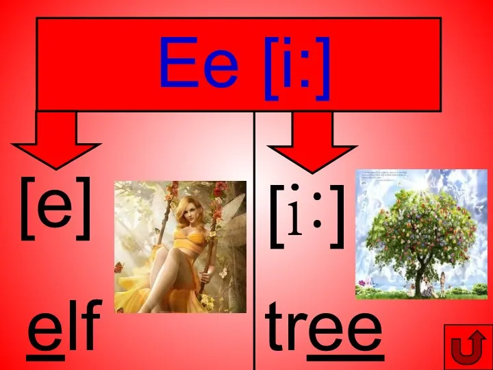 Ee [i:] [e] elf [i:] tree