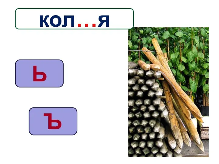 Ь Ъ кол…я